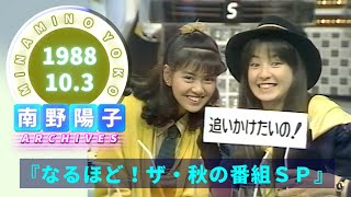 南野陽子21『なるほどザ・秋の番組スペシャル』より19881003追いかけたいの・チーム