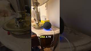 Automatizei o quarto de uma senhora de 90 anos- automação para idosos