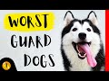 TOP 10 WORST GUARD DOG BREEDS