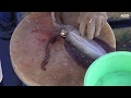 Cleaning Cuttlefish - Hong Kong Seafood Market