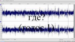 Электронный голосовой феномен (ЭГФ)