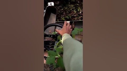 Stay tuned #keralaswiftclub #swiftlover for more updates  #swiftfacelift #swiftletworld