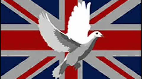 The differences between common law and civil law systems..