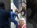 ZooIncident #shorts#ytshorts#subscribe#shortsviral#viral#viralvideo#video#shortvideo#trending