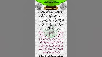 سوره آل عمران آیه 144/سوره عمران ایات نمر 144@PkDeepEyes