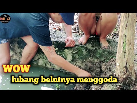 Lubang belutnya menggoda ~ fishing mania ~ mancing amyar ~ baselini banana fishing ~ mancing maniaL