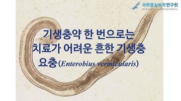 기생충약 한 번으로는 치료가 어려운 흔한 기생충, 요충