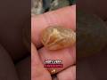 Banded Carnelian Nodule on the Beach Before I Head Out! | Episode 56 #shorts #agates #rockhounding