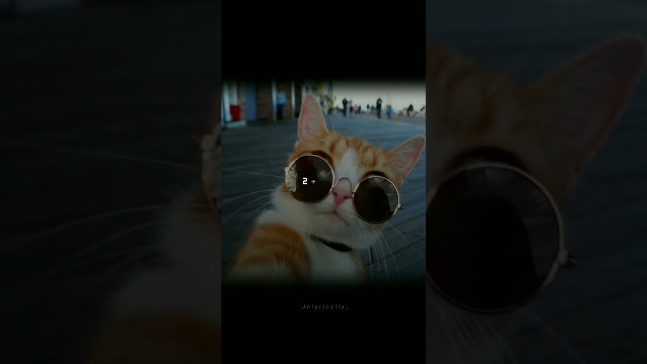 Aaron Lim - See tinh (remix) ❤️|| Lyrical edit || Unlyrically 🔥|| 