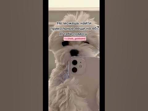 Прикольные вещи с вб #wildberries #одежда #школа - YouTube