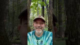 Today Lets Talk About Our Experiences With Ai forest ai fun gemini artificialintelligence