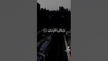 الشيخ د/ماهر المعيقلي  {قل ان الموت الذي تفرون منه فأنهُ ملقيكم}  سورة الجمعه (8)