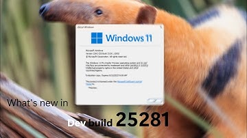 Volume mixer and Spotlight - Windows 11 Dev build 25281 and what