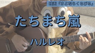 たちまち嵐/ハルレオ/ギターコード chords