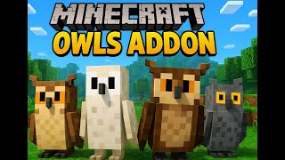 Minecraft | Featuring Owls - A Bedrock Addon!