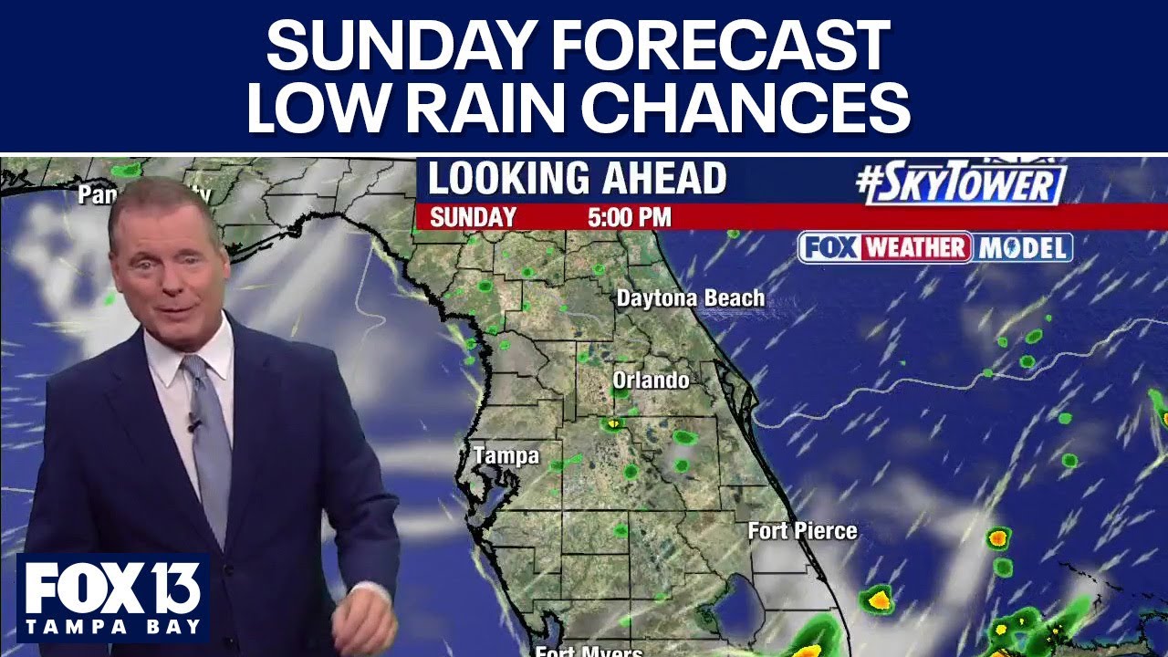 Tampa weather | Sunny and dry conditions - YouTube