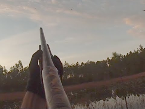 Opening Day of Florida Duck Season!