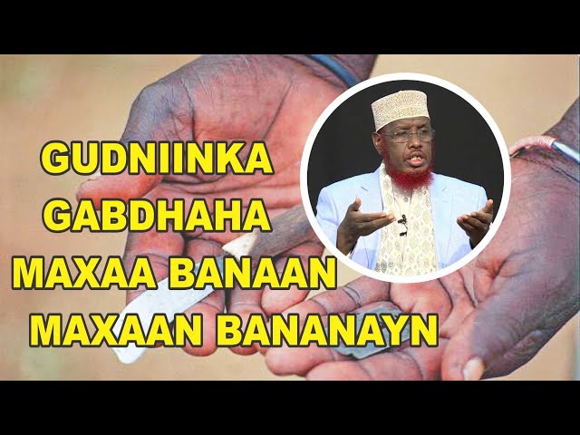 Shou-biznes porno tomosha Nudistlar chiroyli va jozibali.