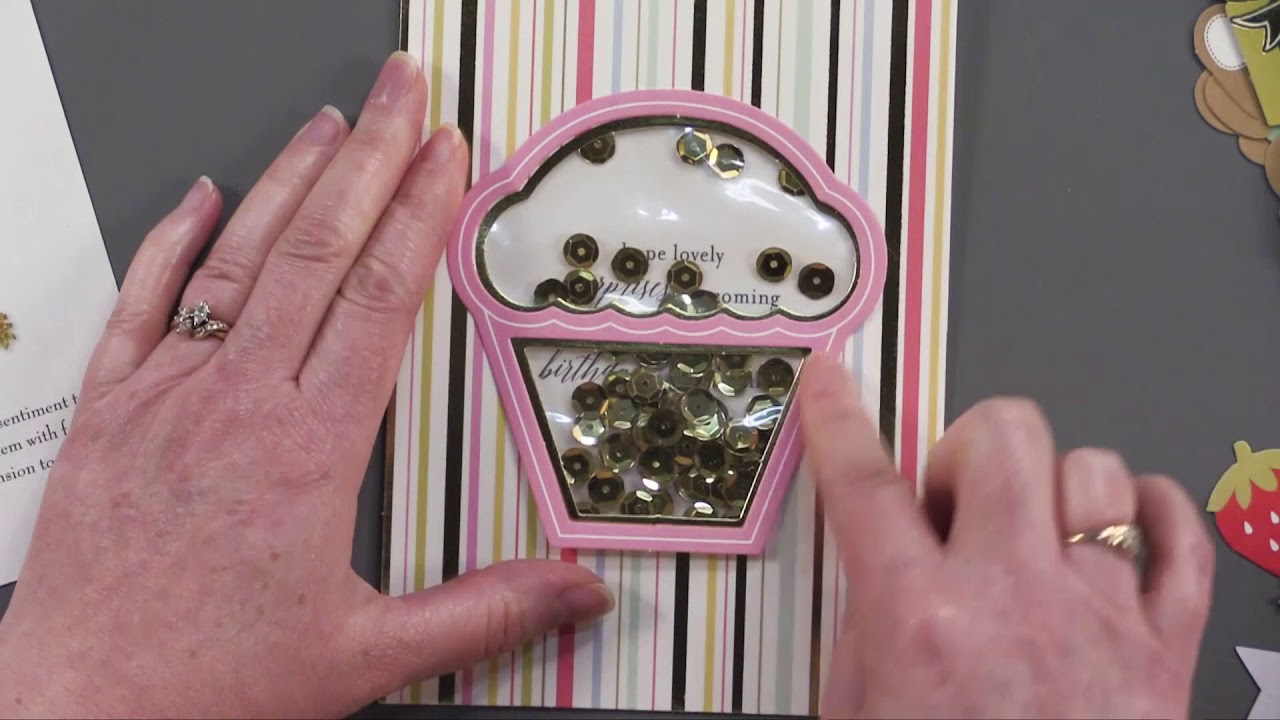 Anna Griffin Shaker Card Kits - Paper Wishes Weekly Webisodes instructional coach