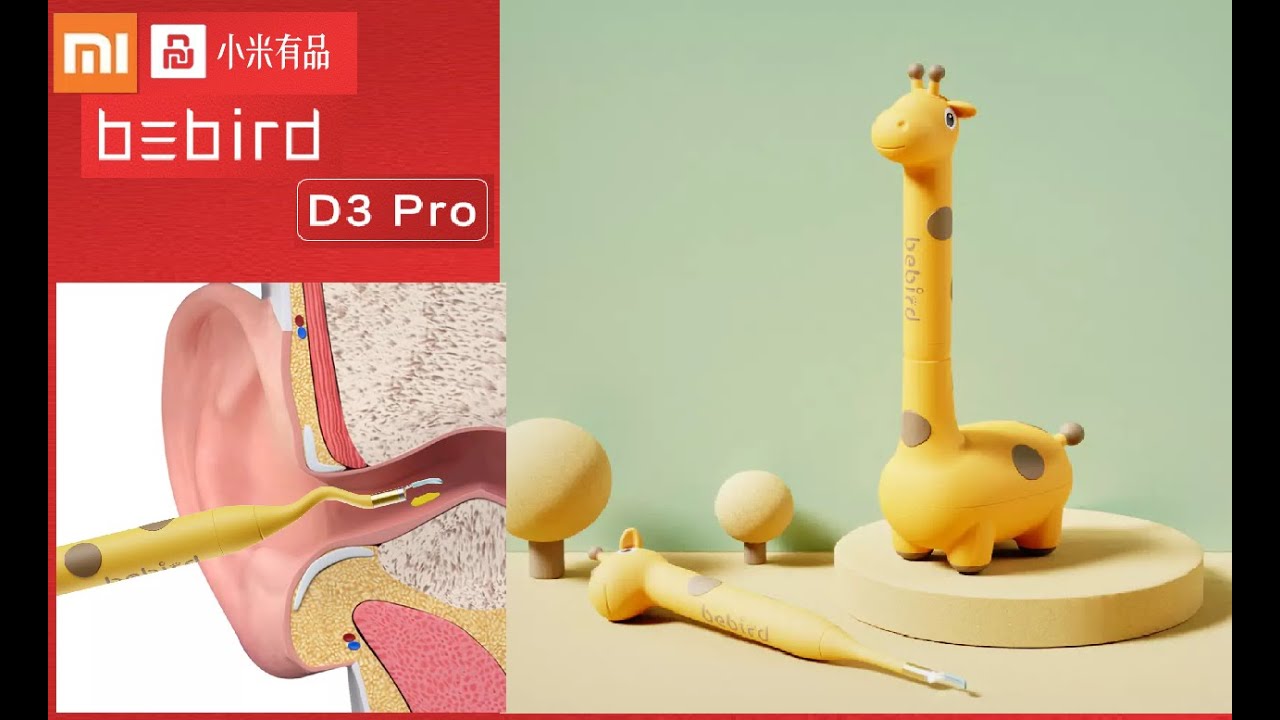 Xiaomi Bebird Smart