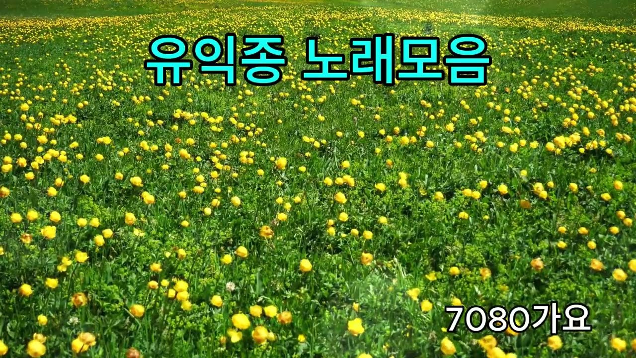 유익종 노래모음 #7080 #가요 #추억의노래 #건강 #면역 #건강습관 #저속노화