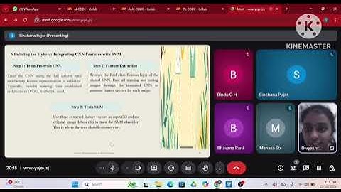 DL & LLM - assignment 1 : " Develop a small image classification ensemble combining CNN and SVM"