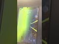 underwater photography fishing #fishing #рыбалка #fishingvideo