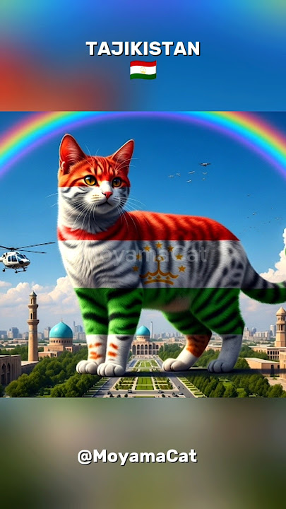 MASYAALLAH TABARAKALLAH INDAH SEKALI YA CAT LOVER'S#shorts
