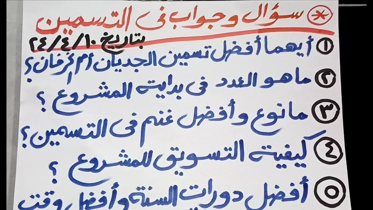 سؤال وجواب فى تسمين الخرفان للمبتدئين (الحلقة ١)
