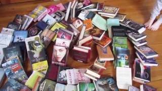Book Domino Adventure