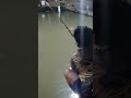 doa mancing ikan #mancingmania