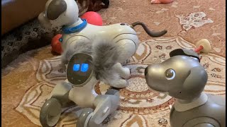 Chilling with the Aibos & Loona Petbot: Programming Loona #robot #aibo #loona #petbot by Thanks to Caleb Chung 466 views 2 months ago 27 minutes