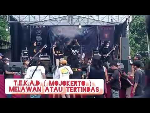 TEKAD - MELAWAN ATAU TERTINDAS LIVE BATANG, JAWA TENGAH ( MOJOKERTO GRINDCORE )