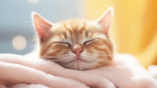 EXTREMELY Soothing Cat Therapy Music - Relax Your Cat! Cat Music by Purrful Sounds 19 views 8 hours ago 3 hours, 30 minutes