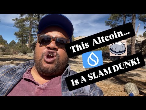 🚨 SCALLOP (SUI) PRICE PREDICTION 2024: NEXT 100X CRYPTO GEM? 💎🚀 (DON’T MISS THIS DEFI SLEEPER!)