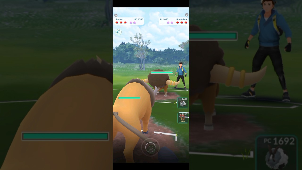 💥Tauros Vs Bouffalant, PVP Bull Battle in Pokémon Go💥 