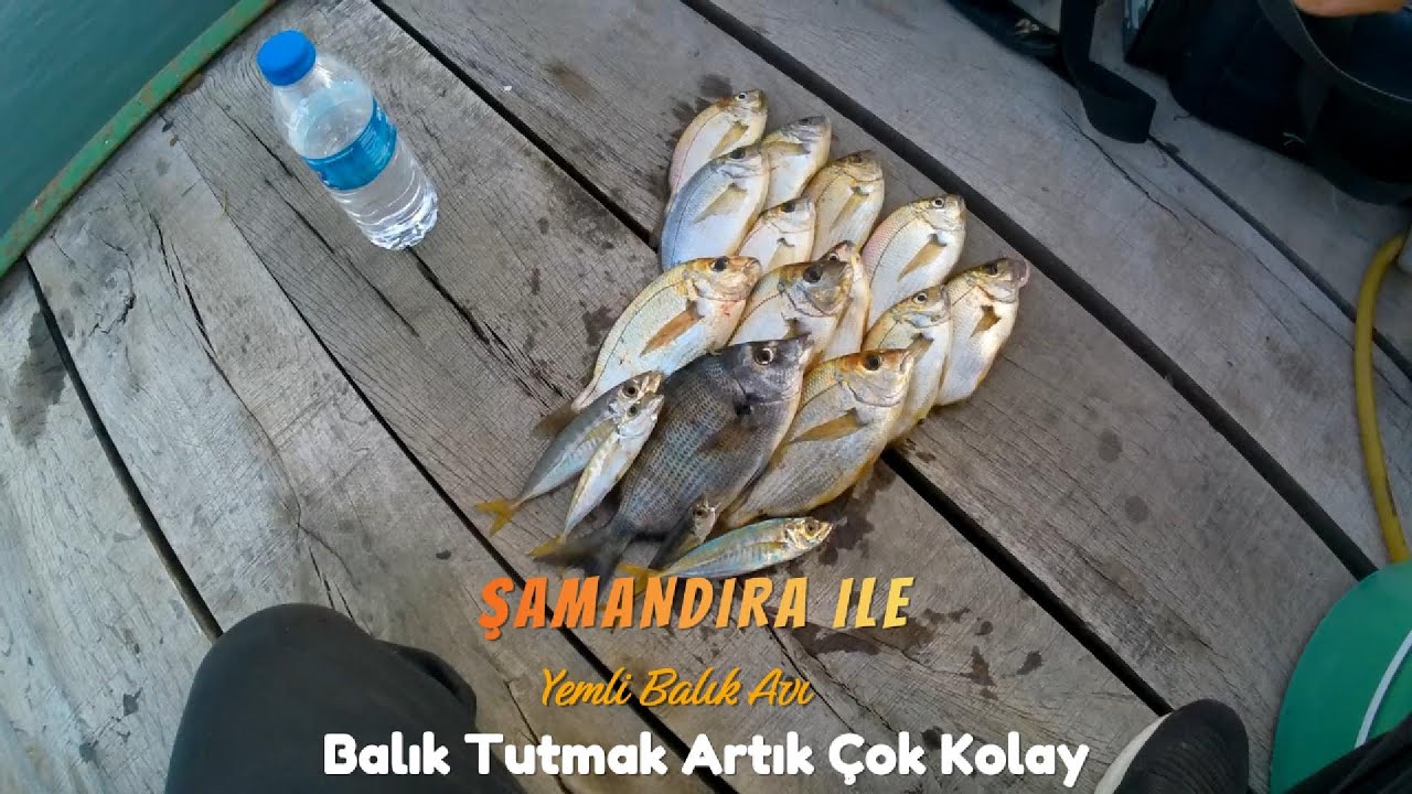 Şamandıra ile Yemli Balık Avı