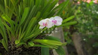 The Jills Zeder Group Presents: 4430 Alton Rd, Miami Beach, FL 33140