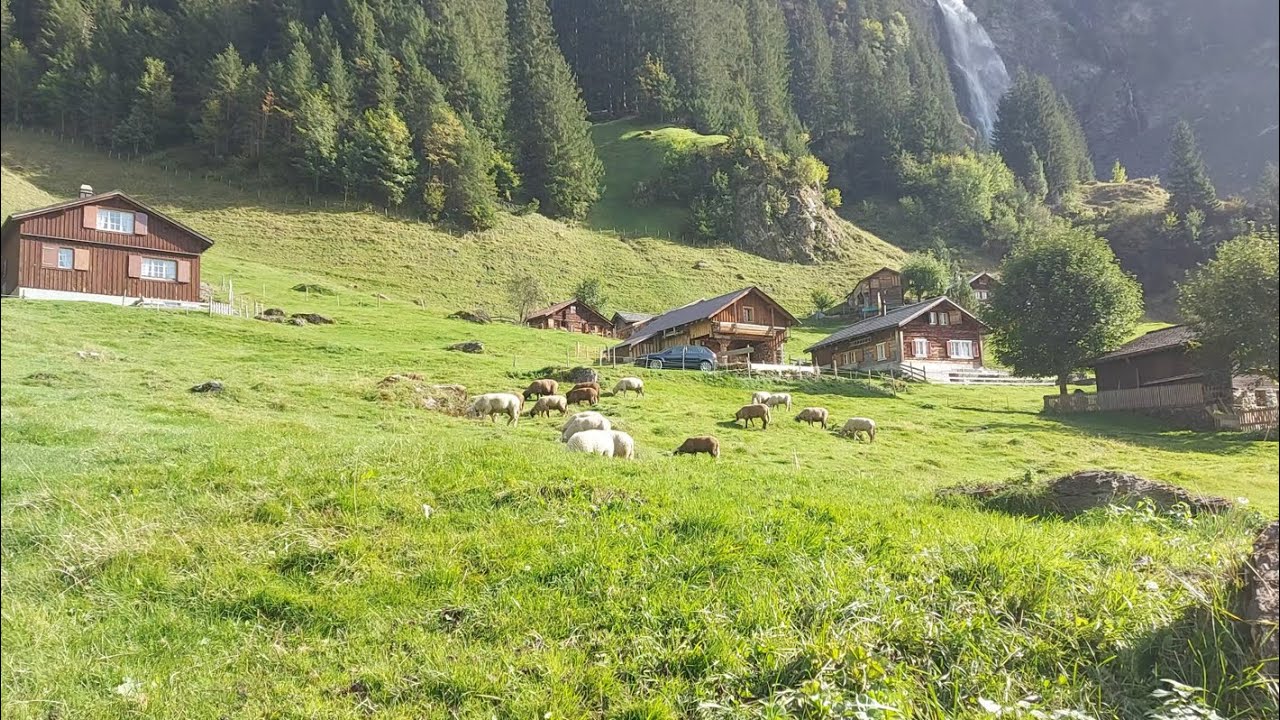 Beautiful Relaxing Nature to Visit | Nature Sounds & Peaceful Views, Day1