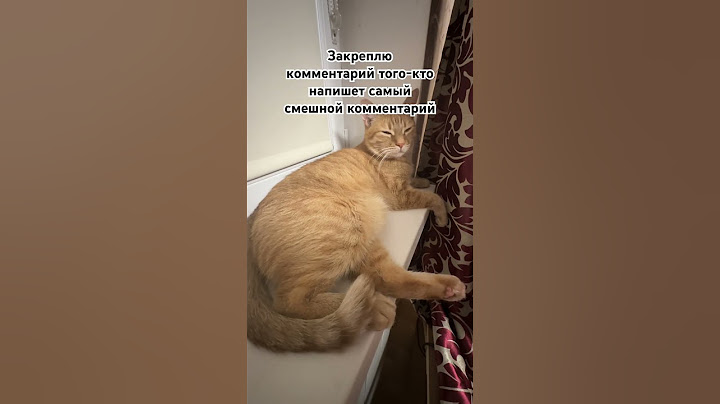 Можешь подписаться, если не сложно🥲ну а ссылка на мой тгк в шапке профиля😉 #cat #милота #funny