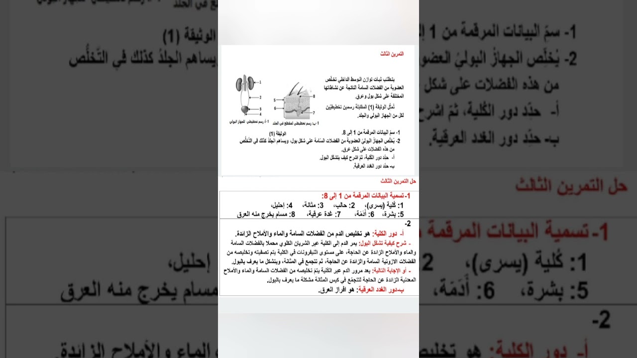 تمارين ووضعيات إدماجية حول الإطراح عند الإنسان أولى متوسط