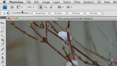 Photoshop CS4: Using the Rotate View