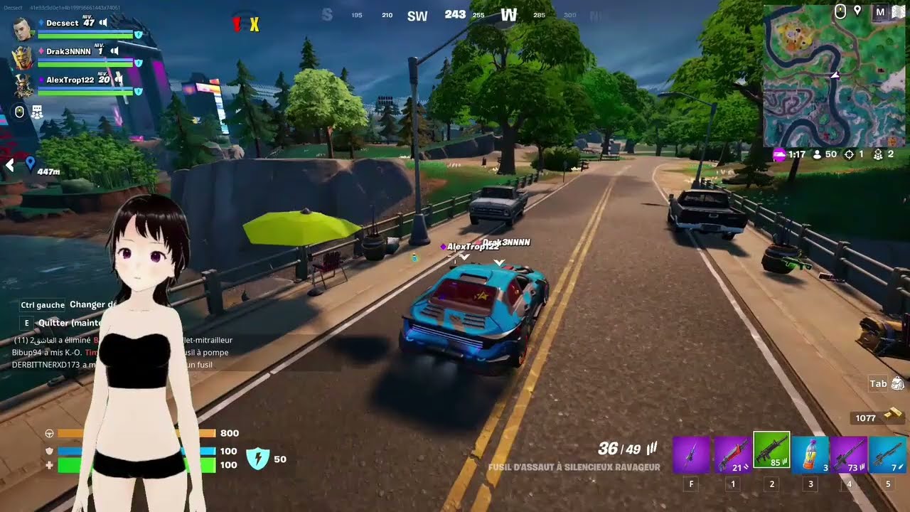 DECSECT play fortnite 