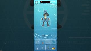 Evolving my Riolu into Lucario #pokemongo #pokemon