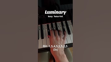 #pianoforbeginners #pianolessons #pianotutorial #luminary