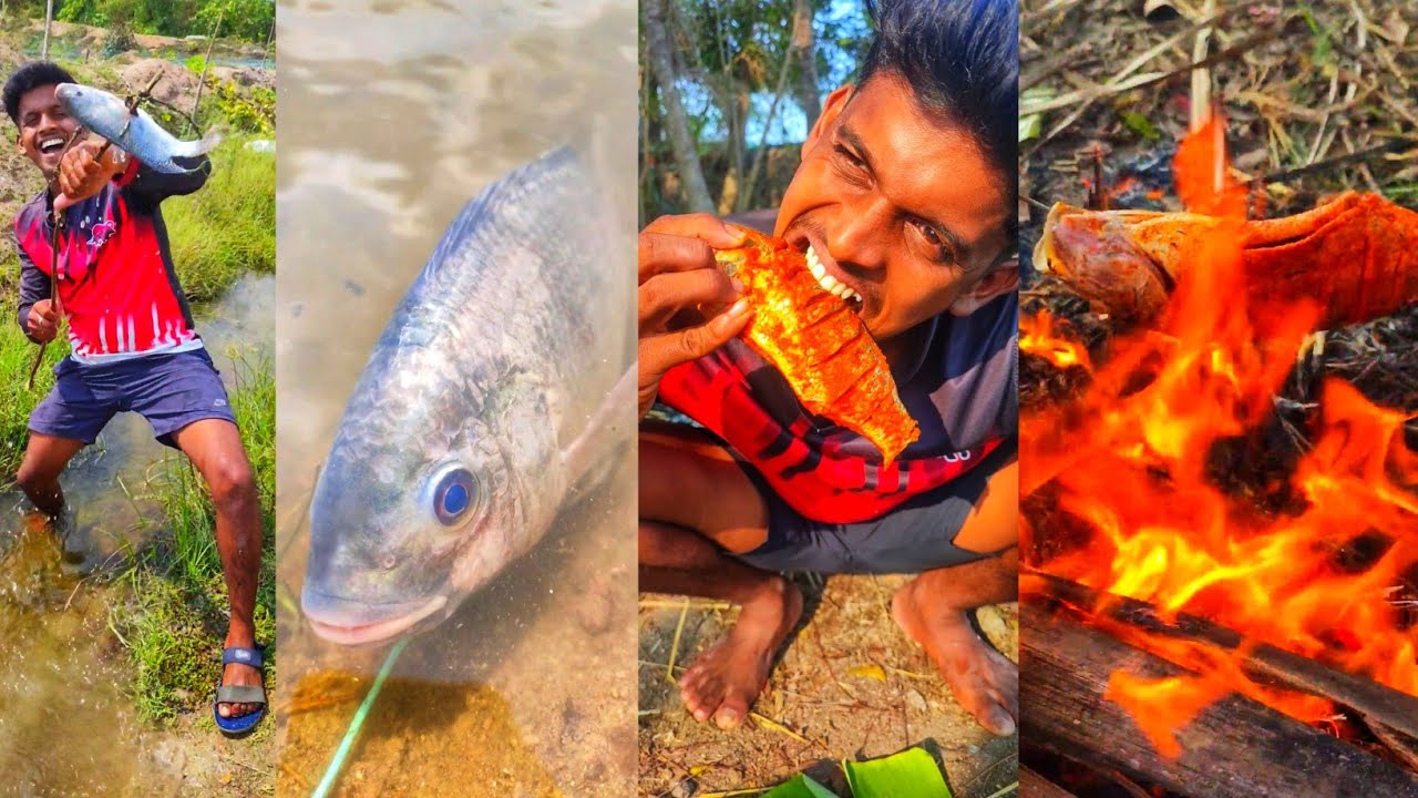 🤯💥மீனுக்கு இப்படி ஒரு கொடுமையா⁉️🥺🤣💢♨️/#shorts @spicybigbites