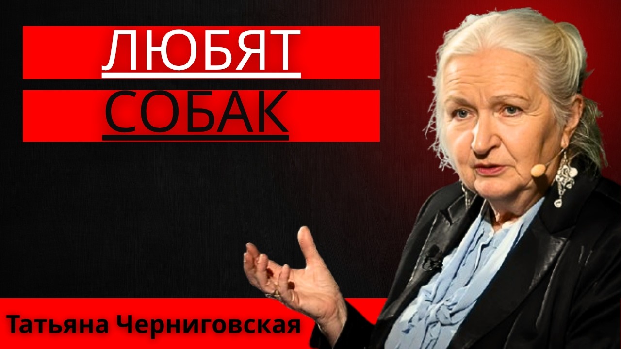 Психология людей, которые любят собак (это не случайность) | Татьяна Черниговская: video thumbnail