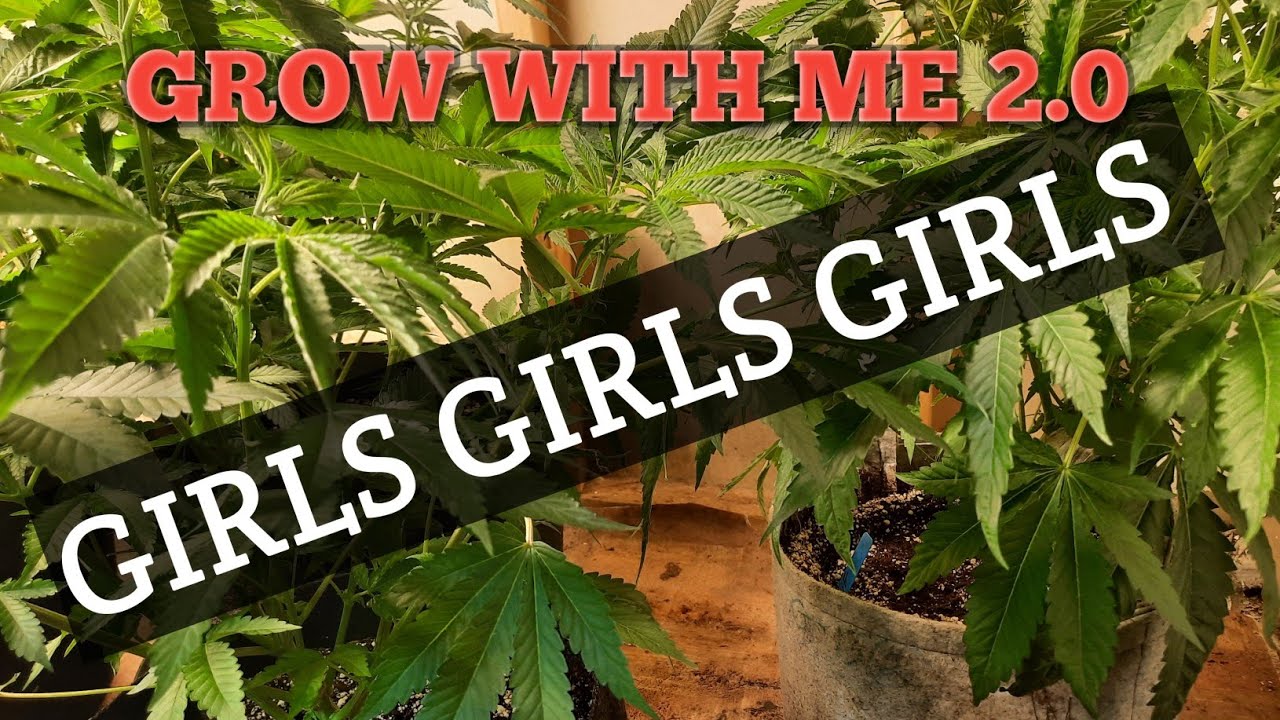 Grow With Me 2.0| Girls Girls Girls!