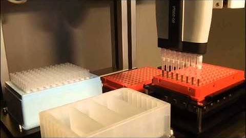 Magnetic Bead Prep 8x #2