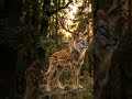 What if the jungle had no mercyAI-generate #magichour #aivideo #hybrids  #animals #aigenerated